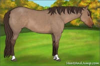 Horse Color:Liver Red Dun Roan 