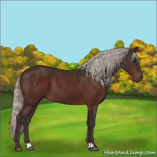Horse Color:Silver Brown 