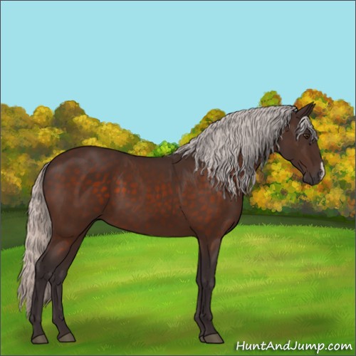 Horse Color:Silver Brown