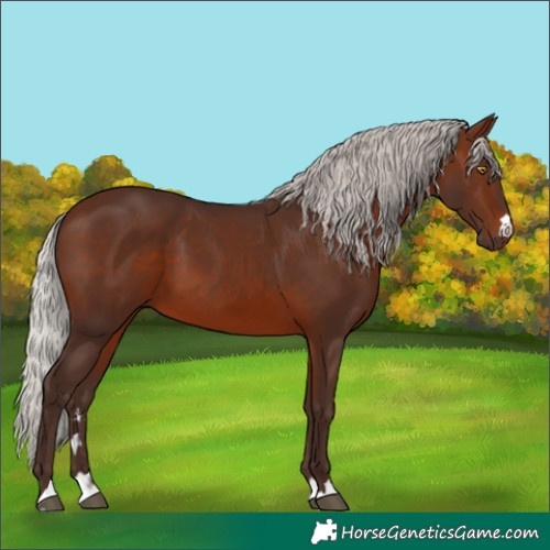 Horse Color:Silver Brown 