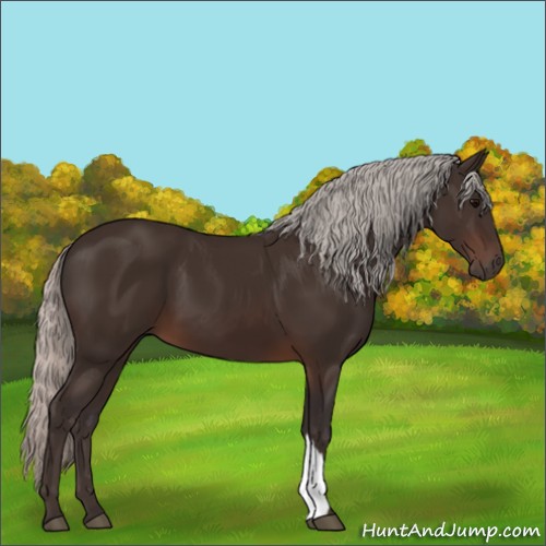 Horse Color:Silver Brown 