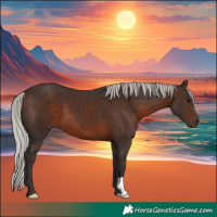 Horse Color:Silver Brown 