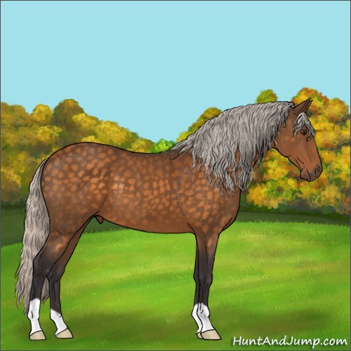 Horse Color:Silver Buckskin 