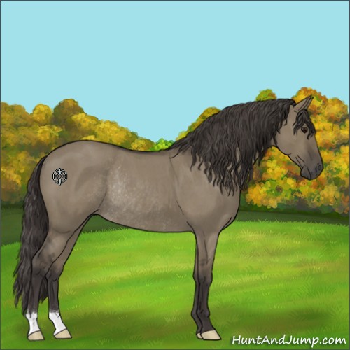 Horse Color:Smoky Grullo Roan Rabicano 