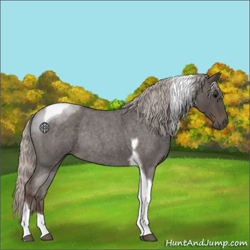 Horse Color:Silver Blue Roan Tobiano Rabicano 