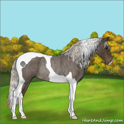 Horse Color:Silver Smoky Blue Roan Tobiano Rabicano 