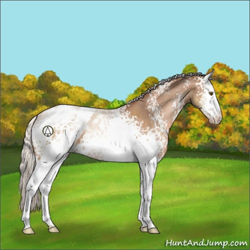 Horse Color:White Spotted Silver Brown Pearl Blanket 