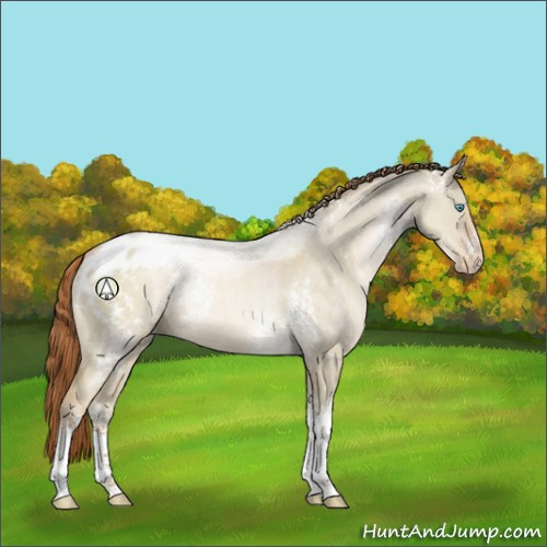Horse Color:White Spotted Buckskin Pearl Dun Sabino Blanket Rabicano 