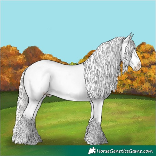Horse Color:Cremello Appaloosa 