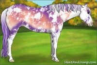 Horse Color:Watercolor Blue Onyx Sabino
