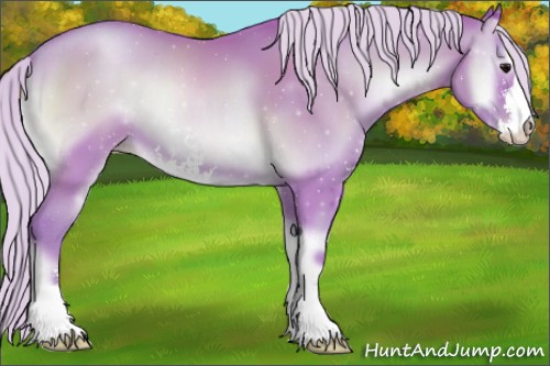 Horse Color:Watercolor Silver Blue Onyx Pearl Sabino