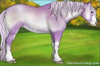 Horse Color:Watercolor Silver Blue Onyx Pearl Sabino 