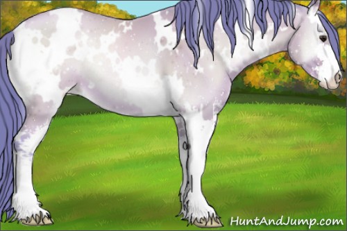 Horse Color:Watercolor White Spotted Brown Pearl Onyx Sabino 