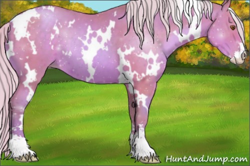 Horse Color:Watercolor White Spotted Silver Black Pearl Sabino 