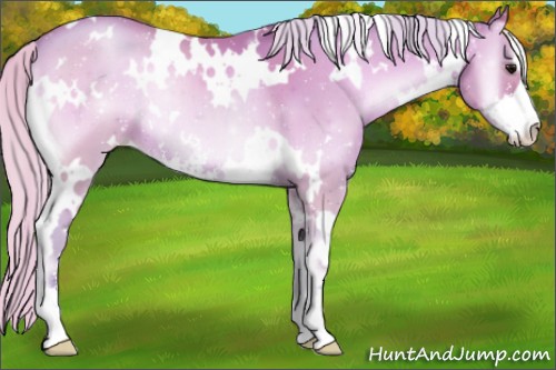 Horse Color:Watercolor White Spotted Silver Blue Onyx Pearl Sabino