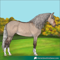 Horse Color:Silver Brown Dun Mushroom 