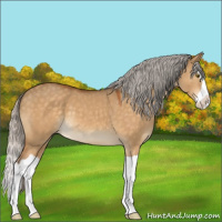 Horse Color:Silver Buckskin Dun Mushroom Splash 