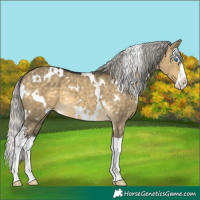 Horse Color:White Spotted Silver Buckskin Dun Mushroom Sabino Splash 