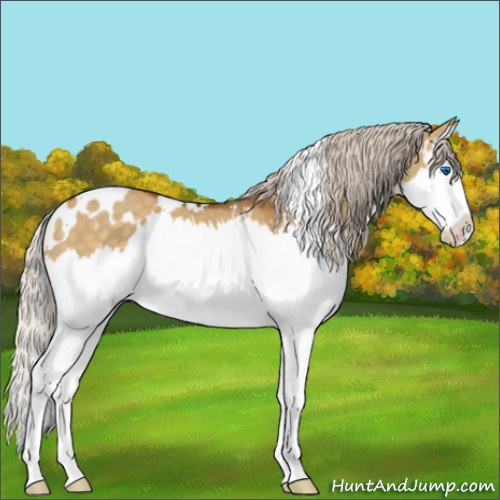 Horse Color:White Spotted Silver Buckskin Dun Sabino Splash 