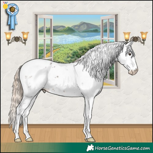 Horse Color:Liver Chestnut Sabino 
