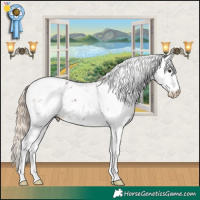 Horse Color:Liver Chestnut Sabino