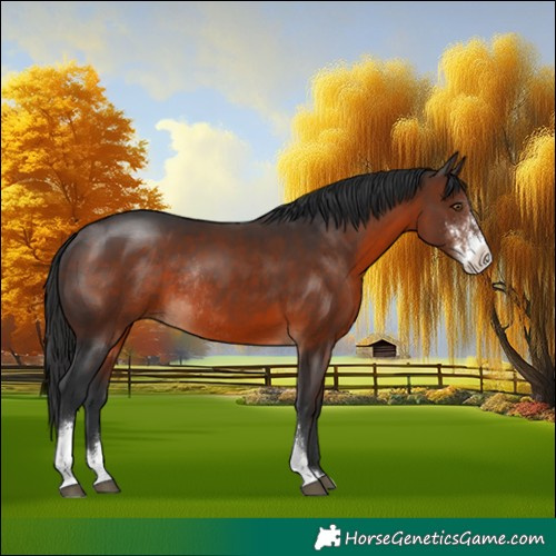 Horse Color:Brown Sabino Rabicano