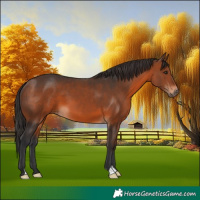 Horse Color:Brown 