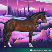 Horse Color:Brown 