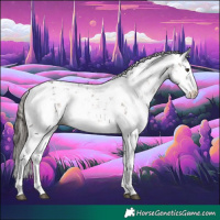 Horse Color:Liver Chestnut Sabino