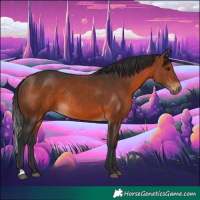 Horse Color:Brown Rabicano 