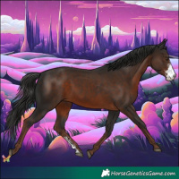 Horse Color:Liver Chestnut Sabino 