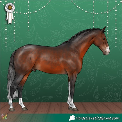 Horse Color:Brown Sabino Tobiano 