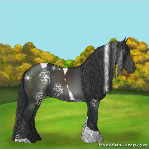 Horse Color:White Spotted Black Tobiano