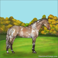 Horse Color:White Spotted Silver Brown Dun Rabicano 
