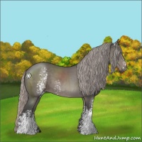 Horse Color:White Spotted Silver Black 