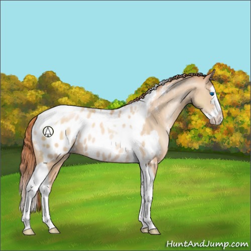 Horse Color:Classic Champagne Pearl Splash Tobiano Near Leopard Rabicano