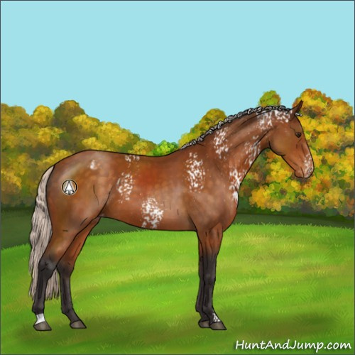 Horse Color:White Spotted Silver Buckskin Varnish