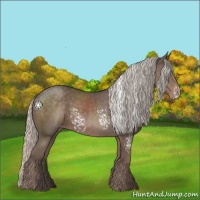 Horse Color:White Spotted Silver Black Blanket Rabicano 