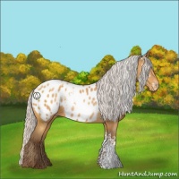 Horse Color:White Spotted Silver Sable Cream Champagne Blanket 