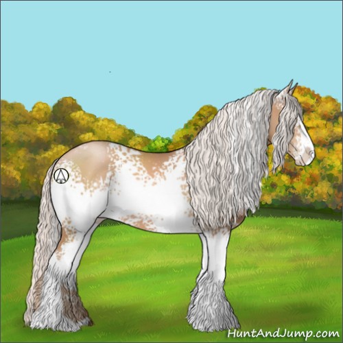 Horse Color:White Spotted Silver Black Pearl Sabino