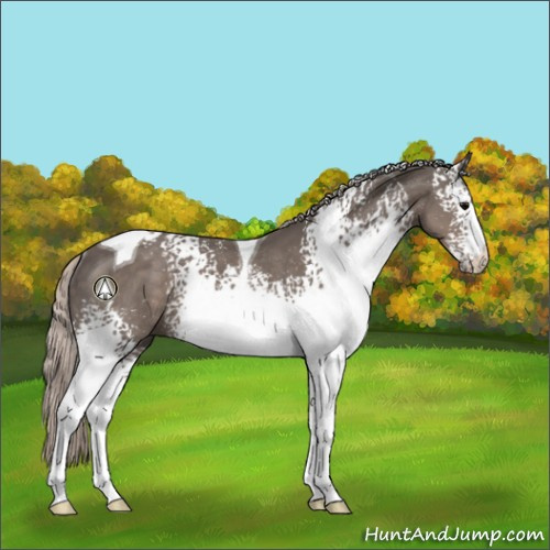 Horse Color:White Spotted Silver Black Tobiano Rabicano