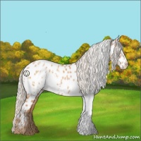 Horse Color:White Spotted Silver Brown Pearl Appaloosa 