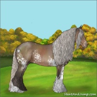 Horse Color:White Spotted Silver Black Tobiano 