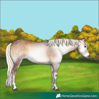 Horse Color:Gray Red Onyx Mushroom 