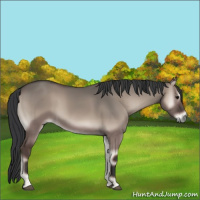 Horse Color:Grullo Onyx Mushroom