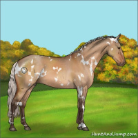 Horse Color:White Spotted Silver Brown Dun 