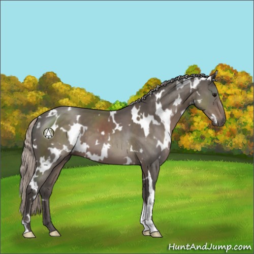 Horse Color:White Spotted Silver Black 