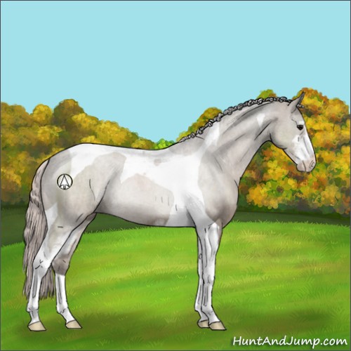 Horse Color:Silver Grullo Sabino Tobiano 