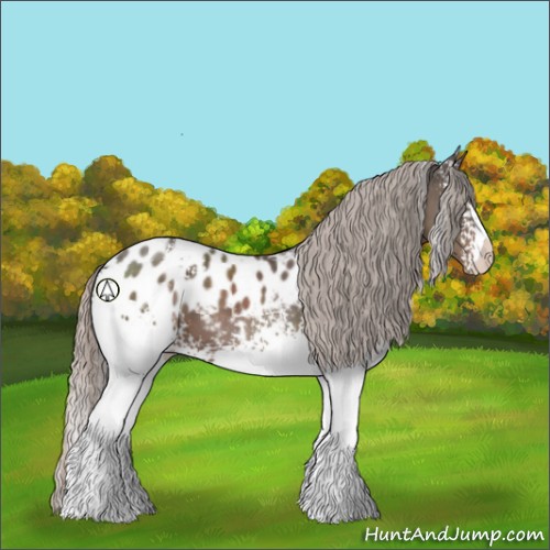 Horse Color:White Spotted Silver Black Blanket 