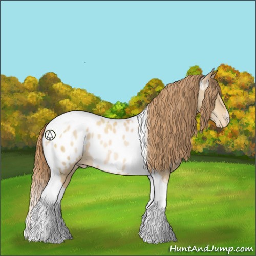 Horse Color:Smoky Black Pearl Tobiano Appaloosa Rabicano 